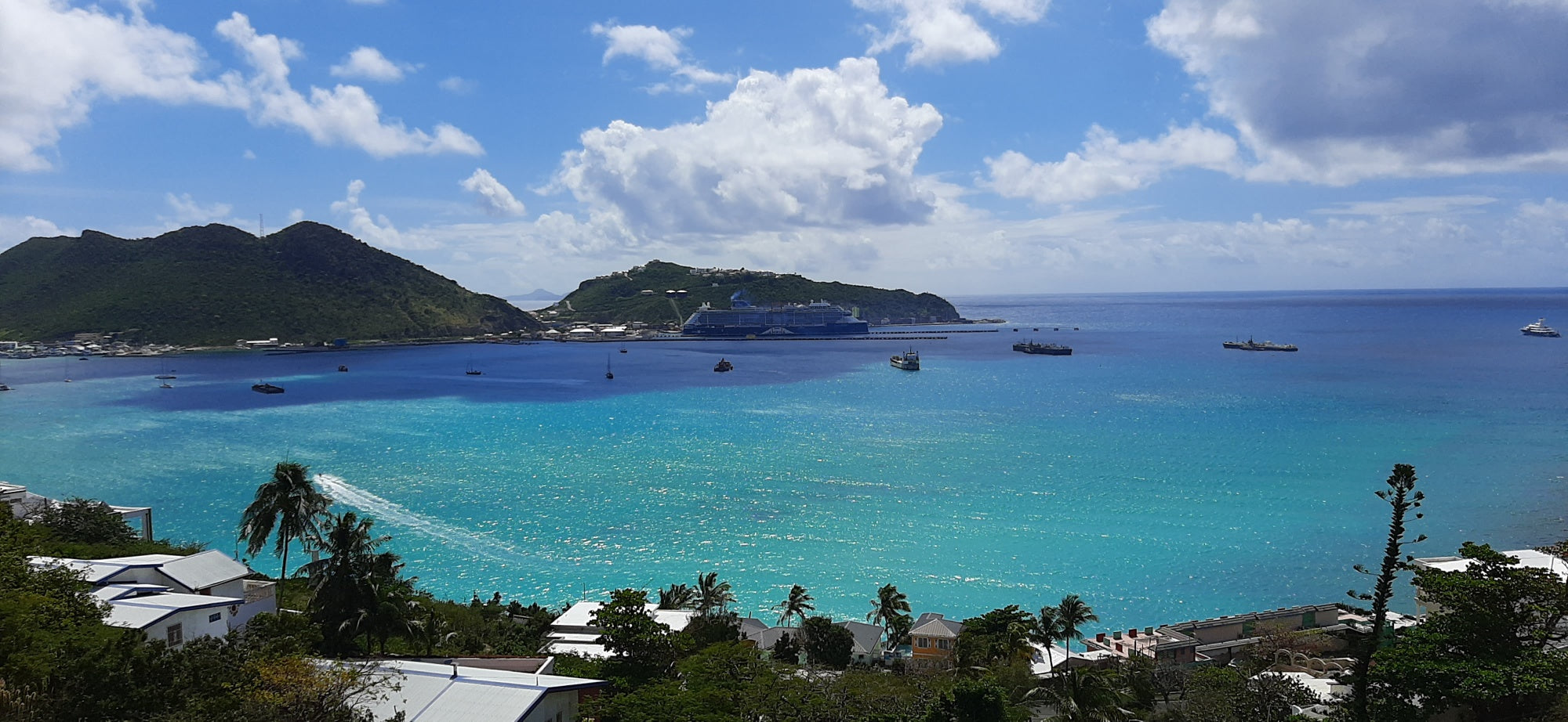 SoLea Little Bay Condo