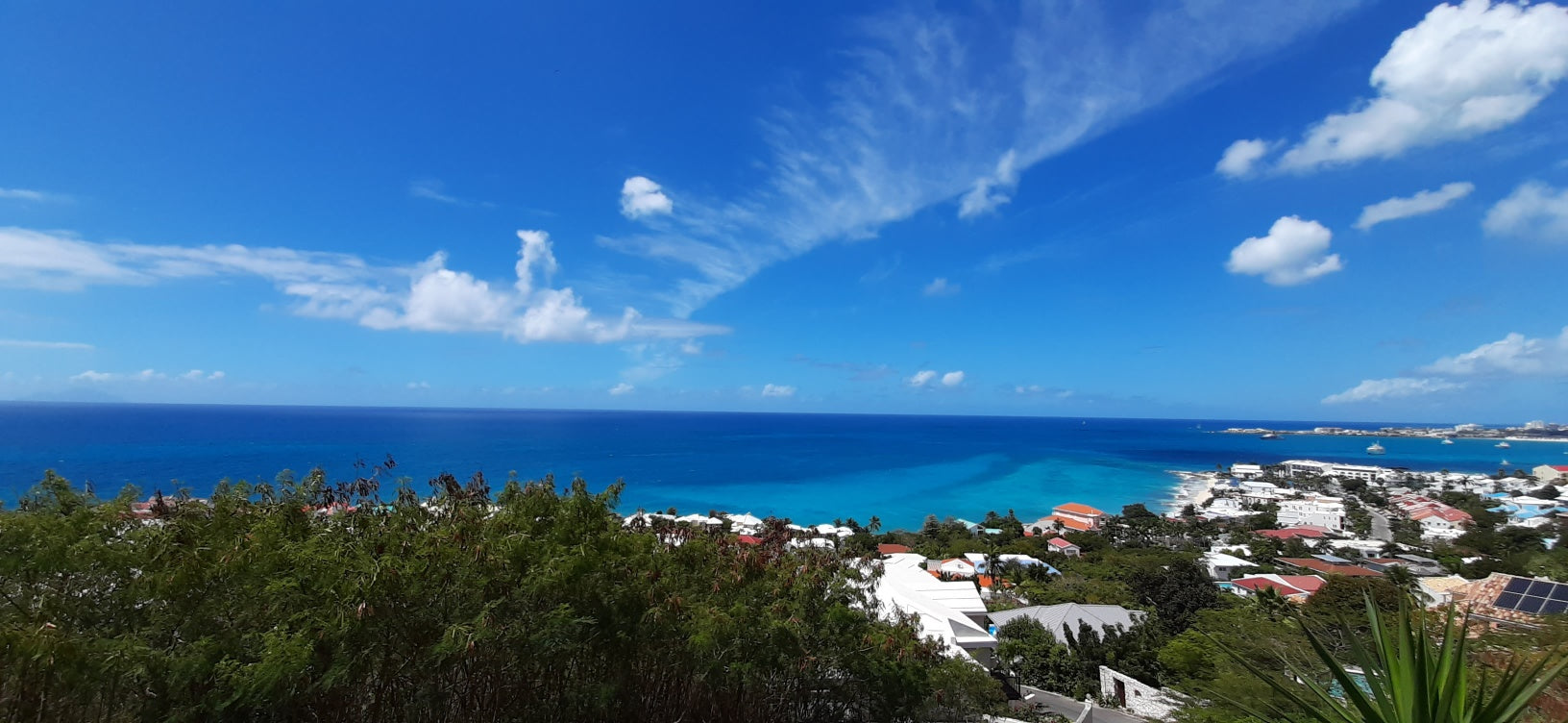 SoLea Little Bay Condo