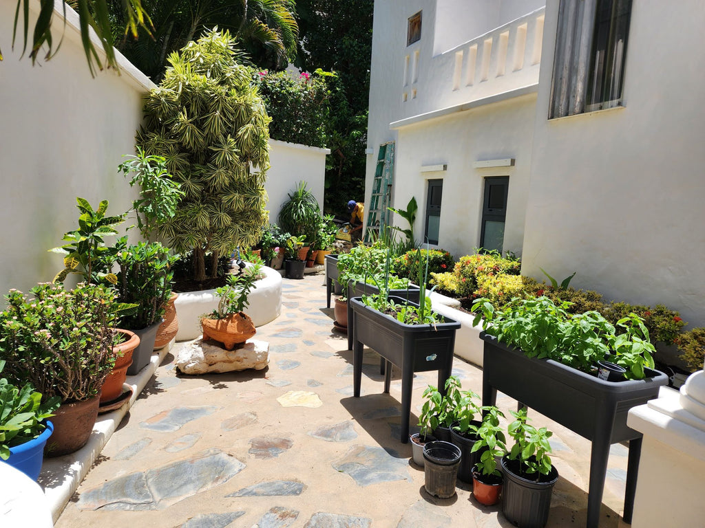 Villa Oceane – Pelican Key