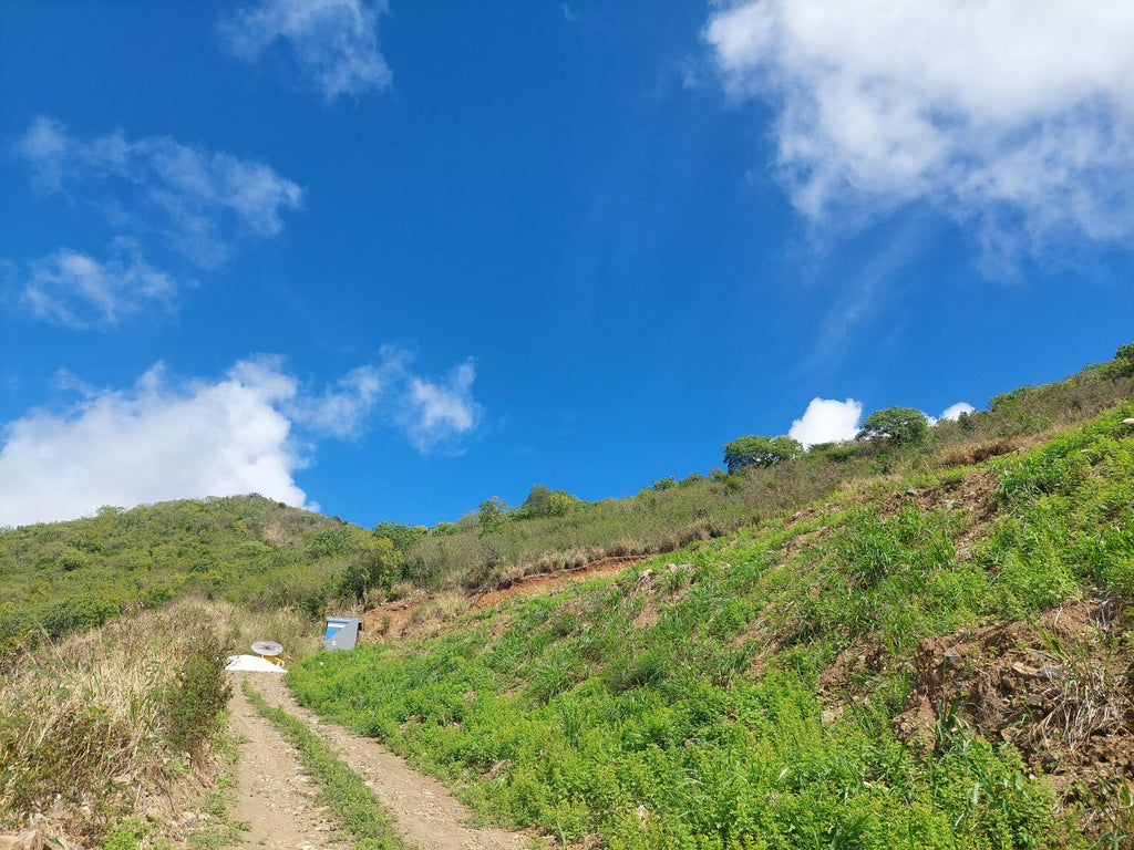 Large Cole Bay Lot – Sentry Hill