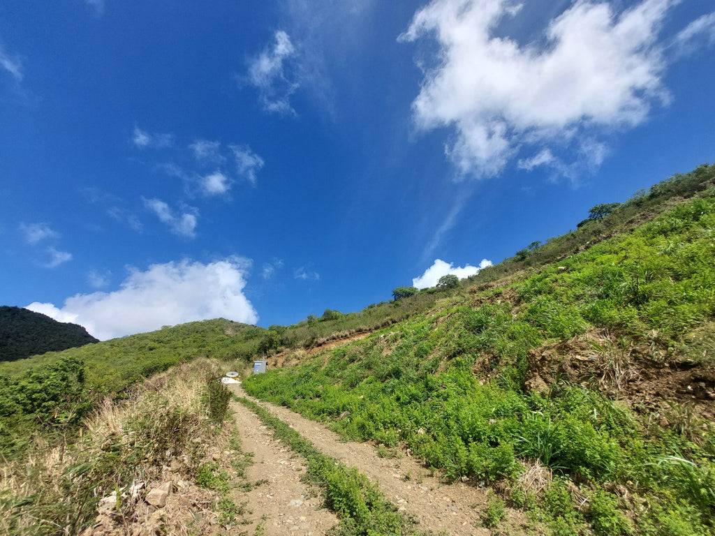 Large Cole Bay Lot – Sentry Hill