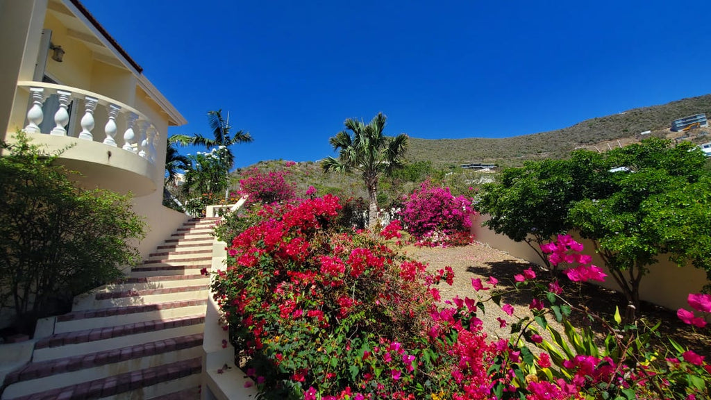 Star Villa, Red Pond