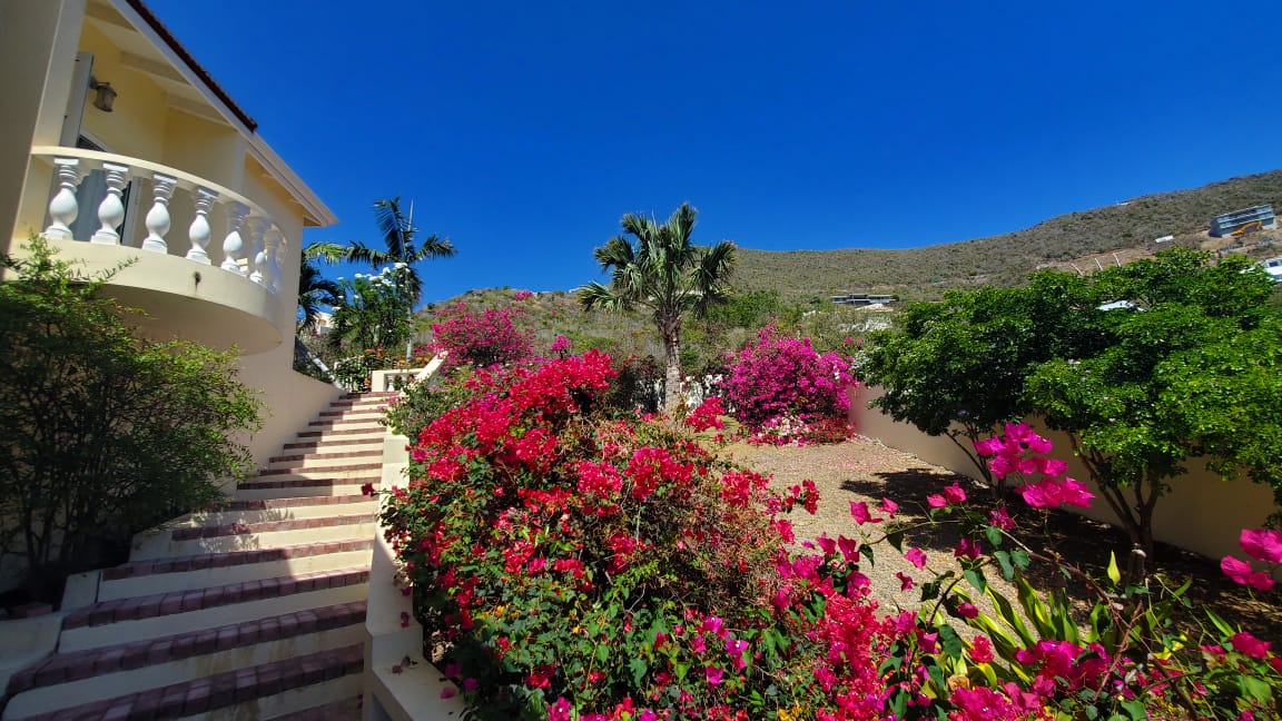 Star Villa, Red Pond