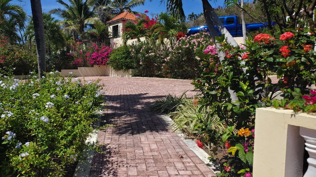 Star Villa, Red Pond