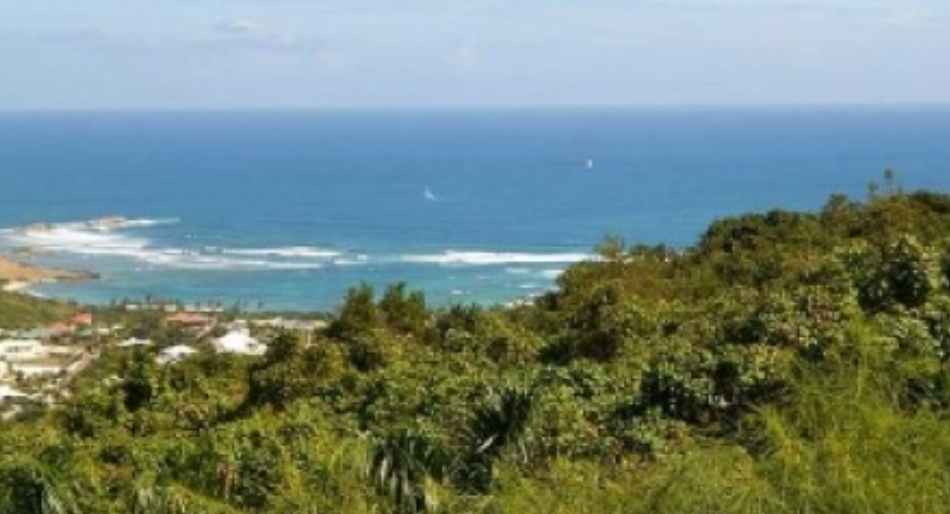 Oyster Pond Lot & Building plans/permits!