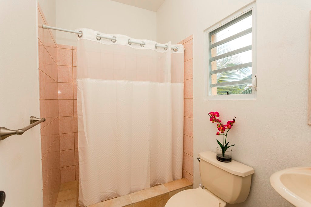 REDUCED! Villa Chere, Guana Bay