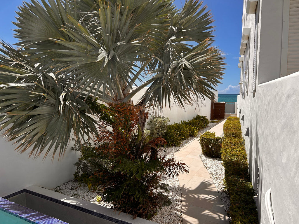 Beachfront Two Bedroom Condo – Simpson Bay